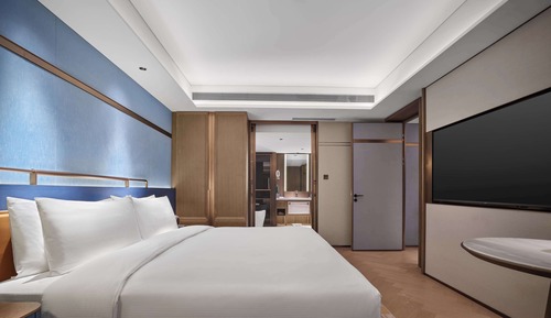 Suite, 1 King Bed (Ambassador)