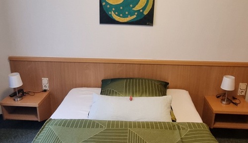 Basic Double Room