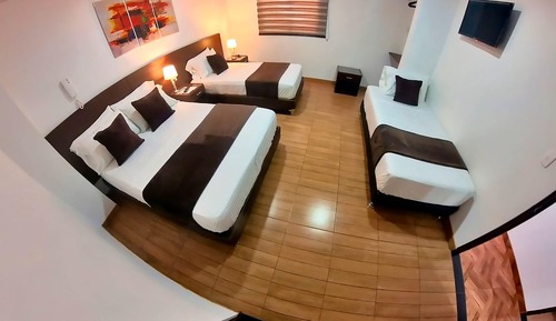 Family Double or Twin Room