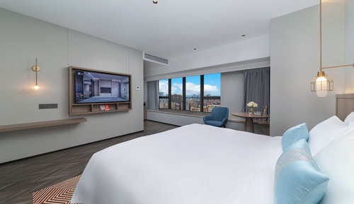 Basic Single Room