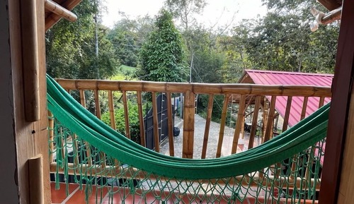 Basic Room, Garden View