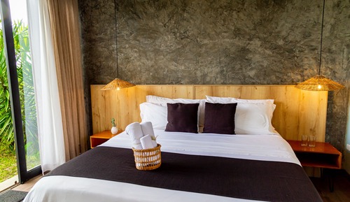 Standard Room, Mountain View