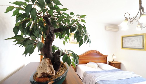 House, 2 Bedrooms, Smoking, Balcony
