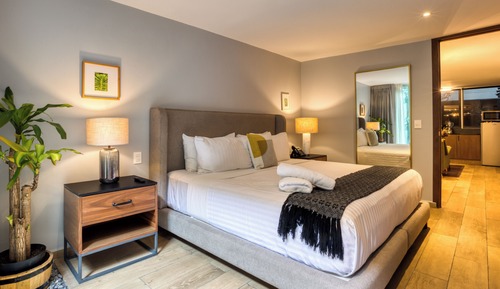 Premium Apartment, 1 King Bed, Patio