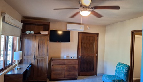 Room, 1 King Bed