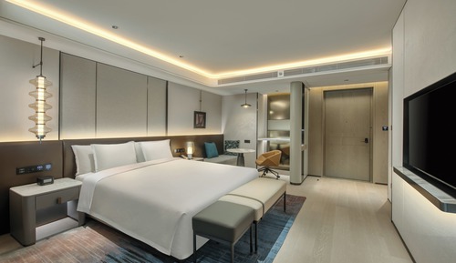 Premium Room, 1 King Bed, Bathtub (Lounge Access)