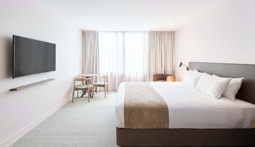 Pet Package King Studio