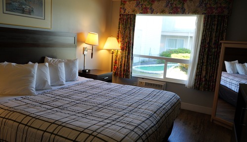 Room, 1 King Bed, Non Smoking Pet room