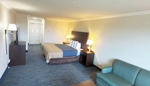 Luxury Room, 1 King Bed with Sofa bed, Non Smoking