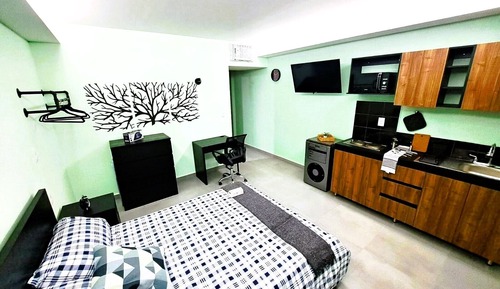 Executive Studio Suite, 1 Queen Bed, Kitchen