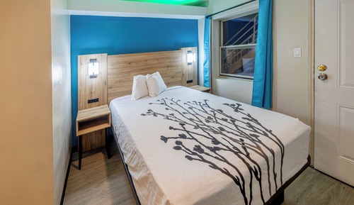 Room, 1 Queen Bed, Non Smoking