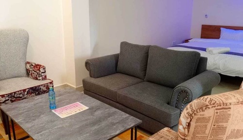 Standard Studio Suite