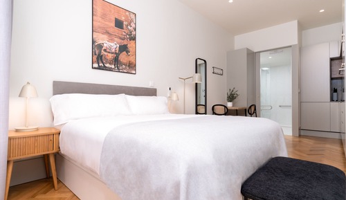 Studio - Wheelchair Accessible