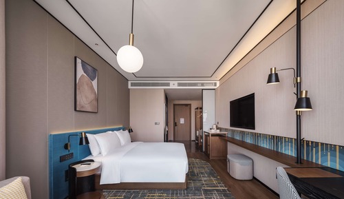Room, 1 King Bed