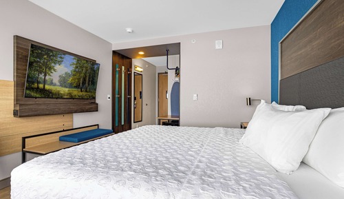 Room, 1 King Bed, Accessible (Hearing)