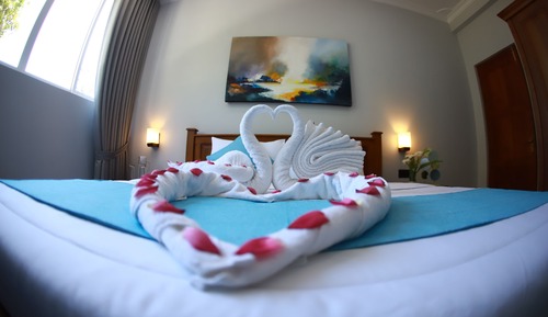 Deluxe Double Room, 1 King Bed, Mountain View