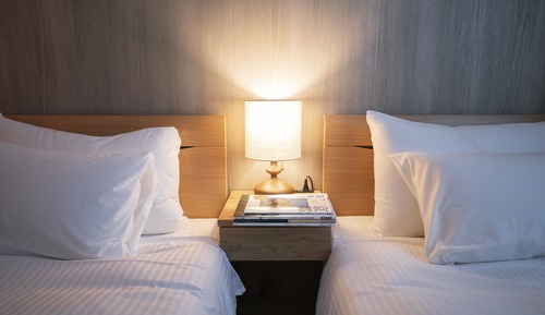 Standard twin with sofa bed
