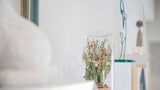 Basic Apartment