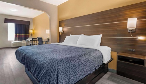 Room, 1 King Bed, Smoking