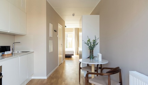 Large Studio, Kitchen, Balcony
