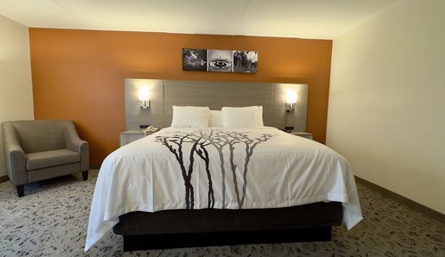 Superior Room, 1 King Bed