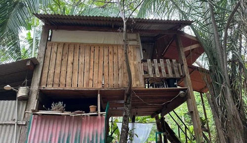Romantic Tree House