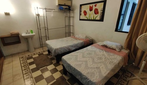 Basic Double or Twin Room