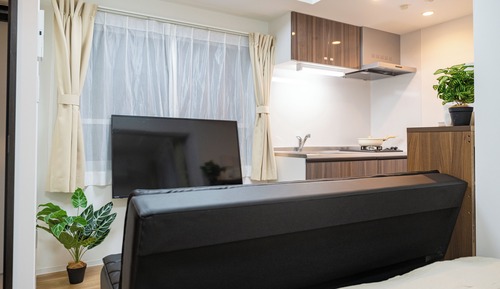 Basic Apartment