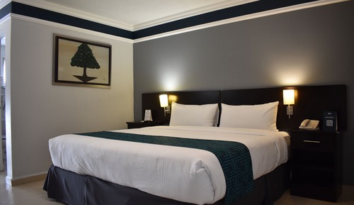Standard Room, 1 King Bed