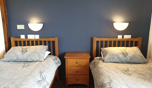 Triple Room (Room 7 Dog Friendly)