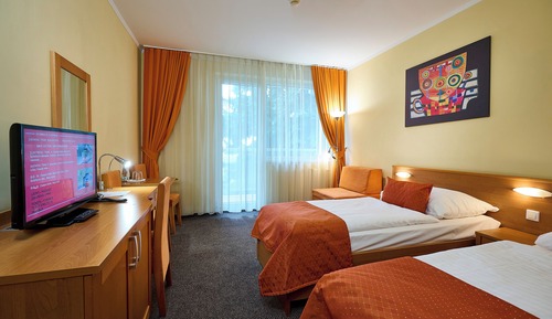 Business Double or Twin Room, Balcony