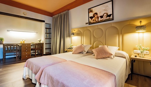 Deluxe Twin Room, Terrace (DBT)