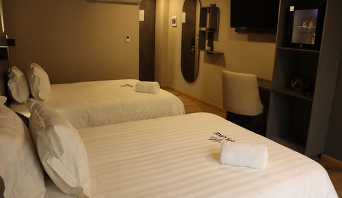 Deluxe Double or Twin Room