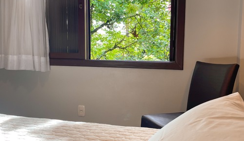 Deluxe Room, 1 Double Bed