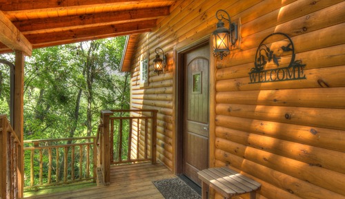 Luxury Tree House