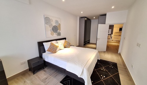 Luxury Apartment