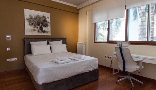 Luxury Apartment