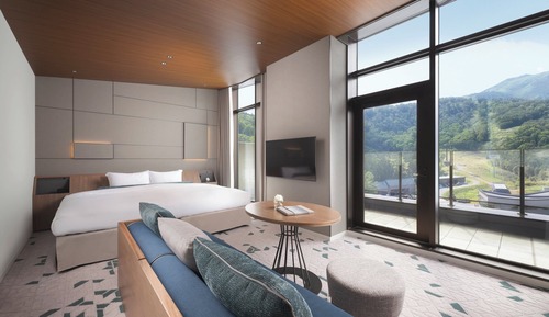 Deluxe Room, 1 King Bed (Premium)