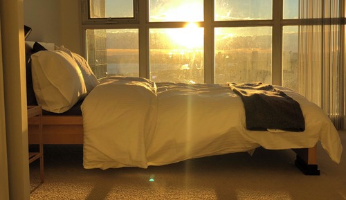 Comfort Suite