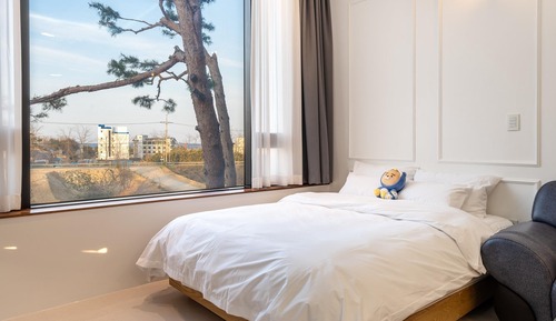 Basic Room, 1 Bedroom (Poodle204)