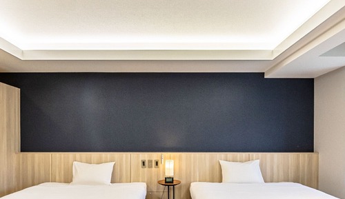 Deluxe Twin Room, Non Smoking (45㎡)