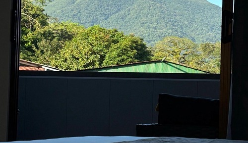 Superior Room, Mountain View