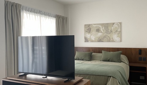 Family Studio, 1 Queen Bed with Sofa bed