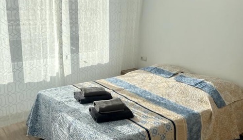 Basic Apartment