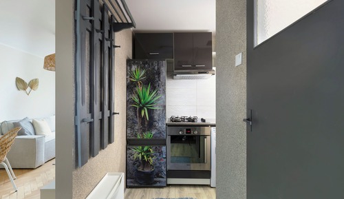 Economy Apartment