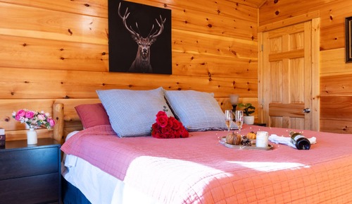 Family Cabin