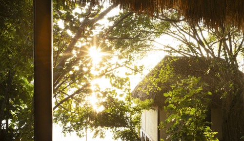 Premium Double Room Cocodrilo