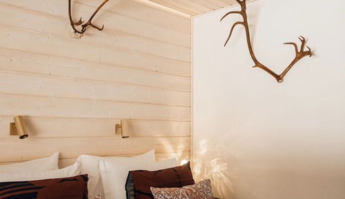 Forest view deluxe room
