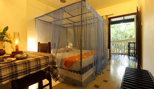 Economy Room