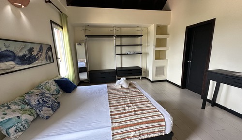 Basic Apartment